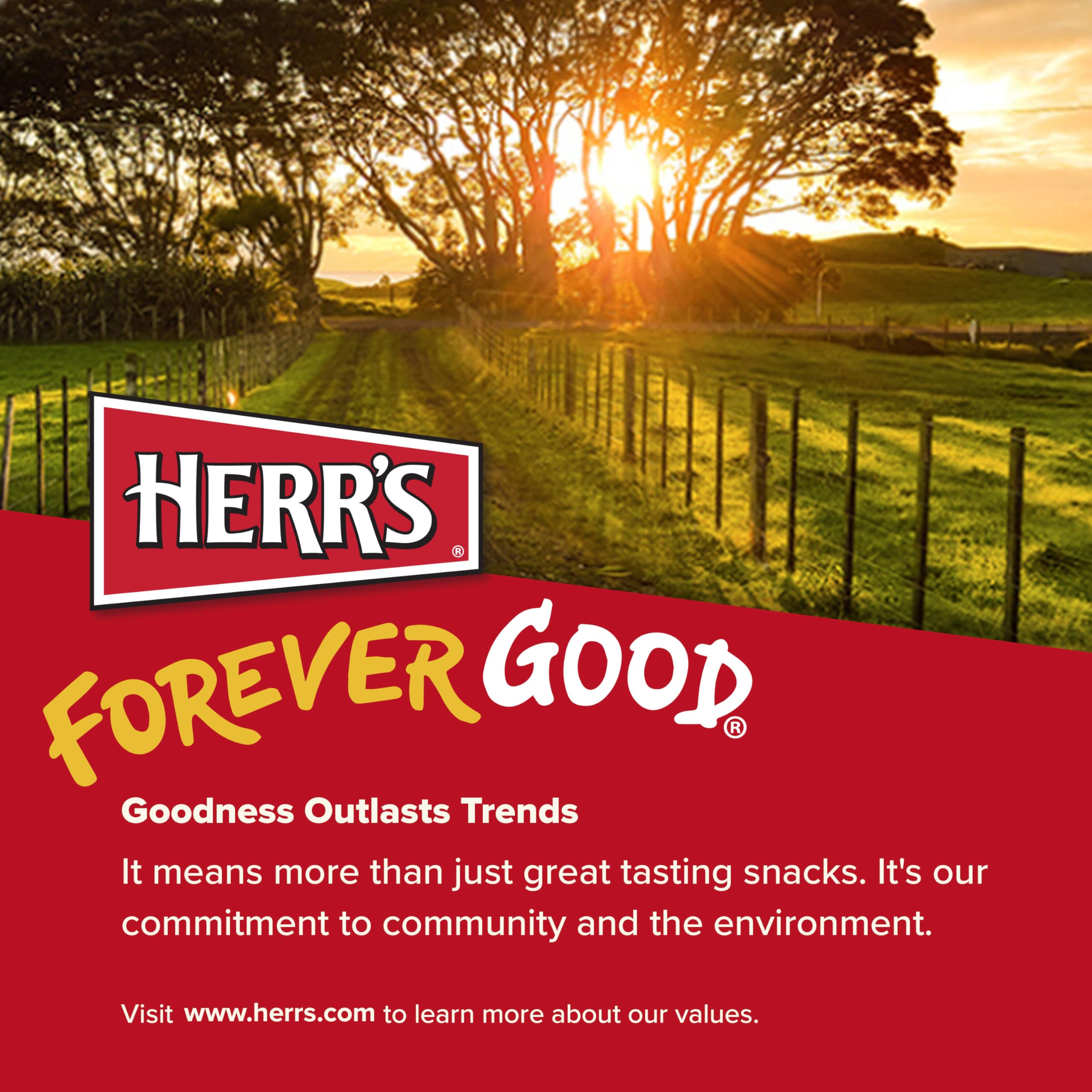 Herr’s Potato Chips, Horseradish and Cheddar Flavor, Gluten Free Snacks, 6oz Bag (6 Count) - Image 9